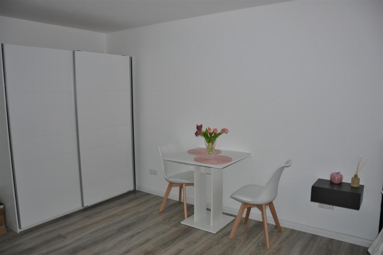Sophie Flair Apartment كارلسروه المظهر الخارجي الصورة
