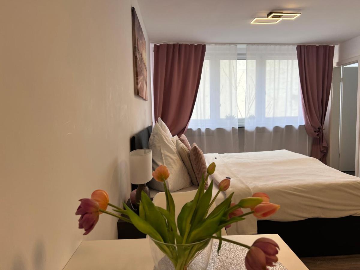 Sophie Flair Apartment كارلسروه المظهر الخارجي الصورة