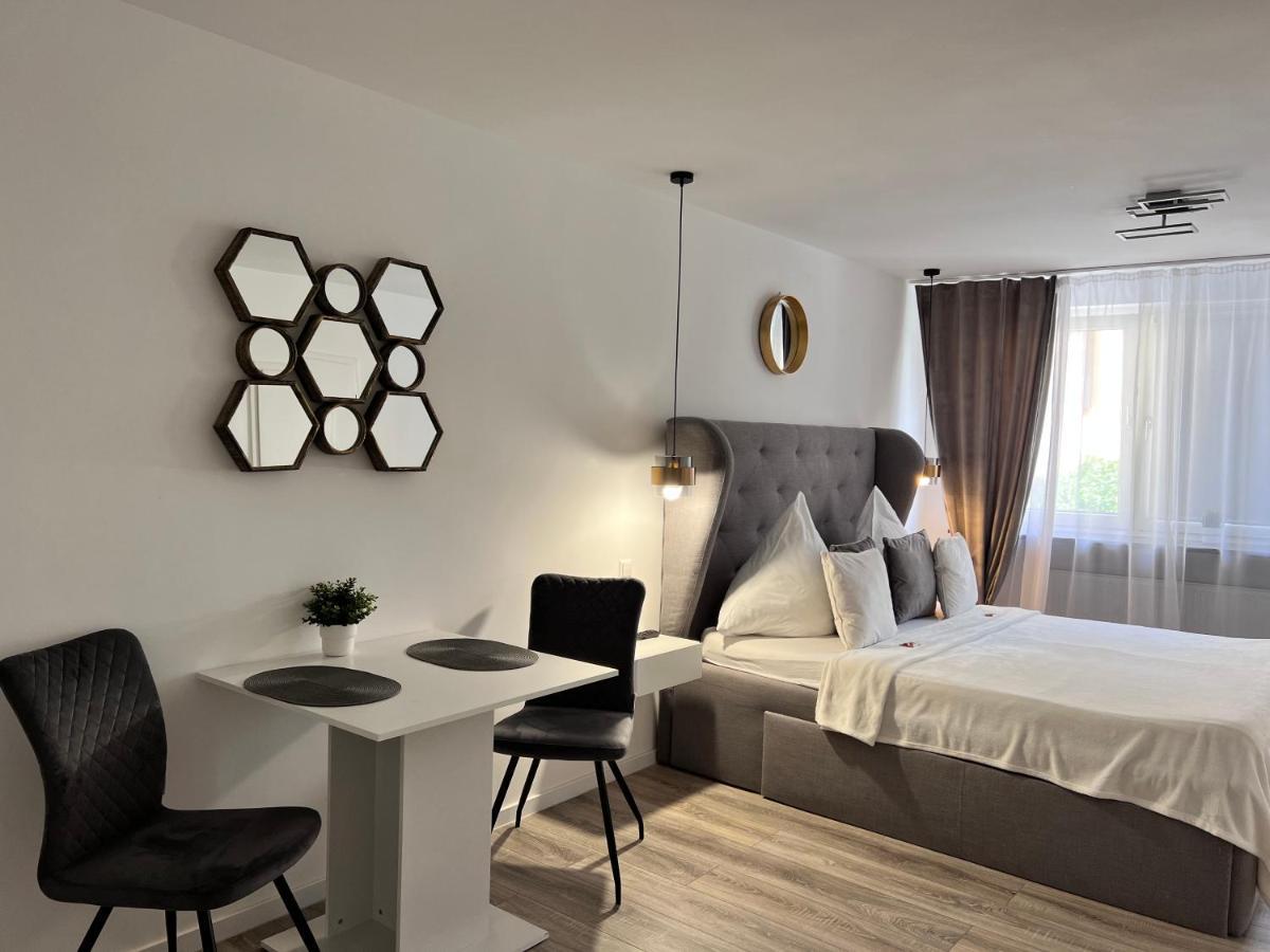 Sophie Flair Apartment كارلسروه المظهر الخارجي الصورة