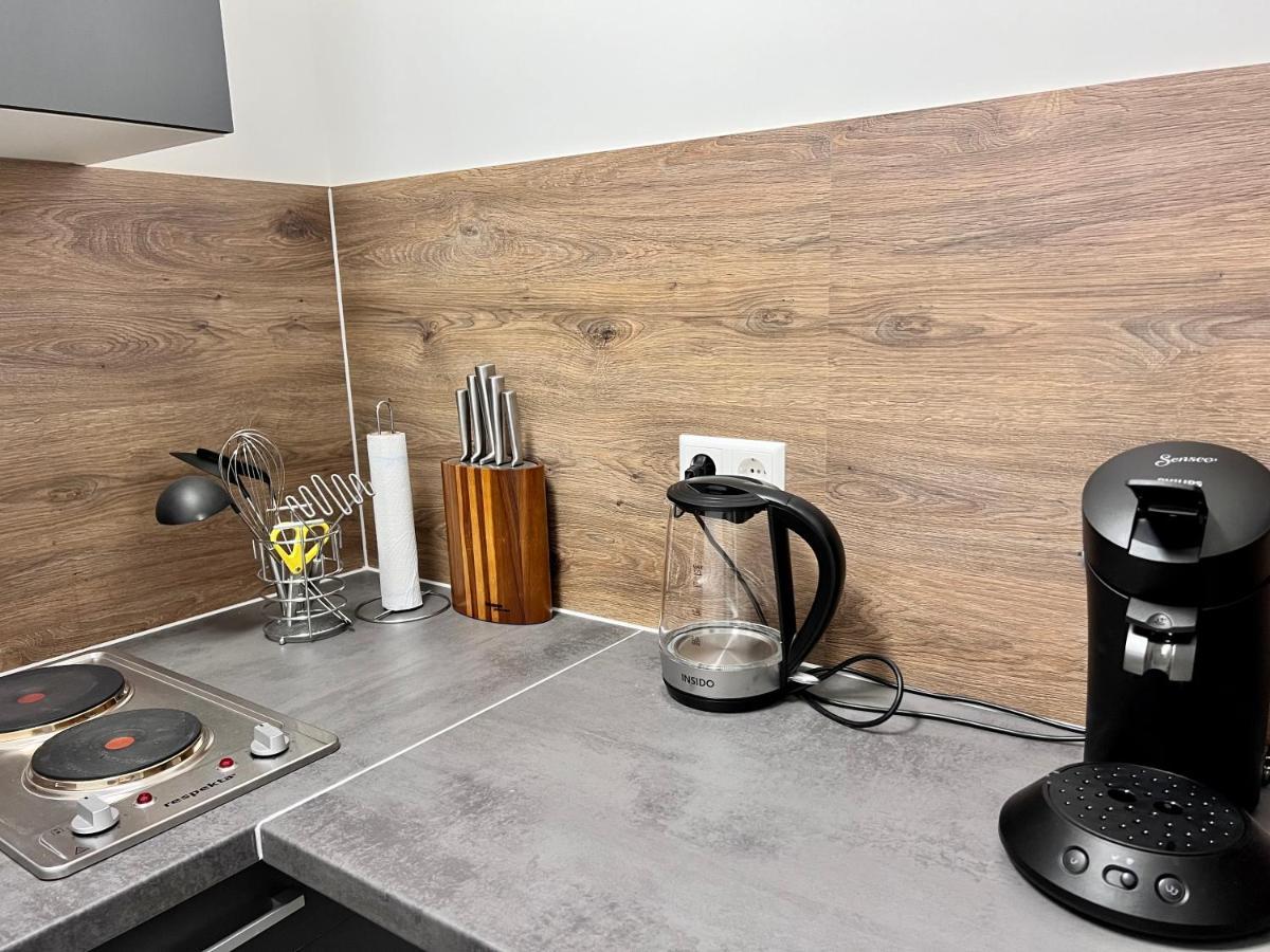 Sophie Flair Apartment كارلسروه المظهر الخارجي الصورة